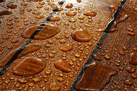 Placeholder Project Title 3